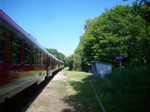 RTF Lueneburg Ulli 390